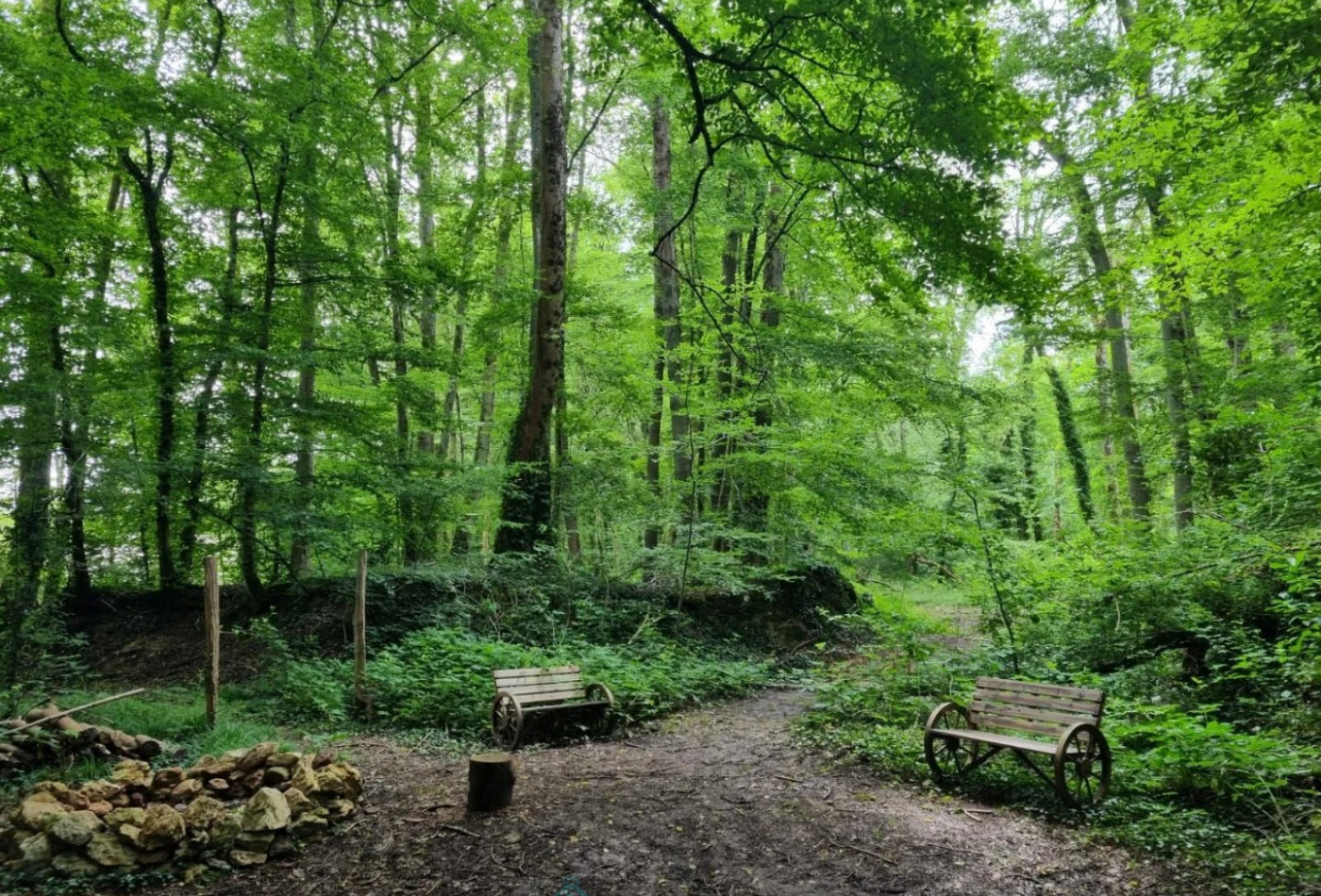 vente Propriété Coulommiers - Photo 8