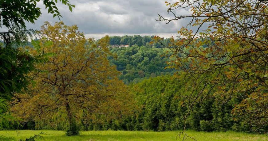 vente Propriété Coulommiers
