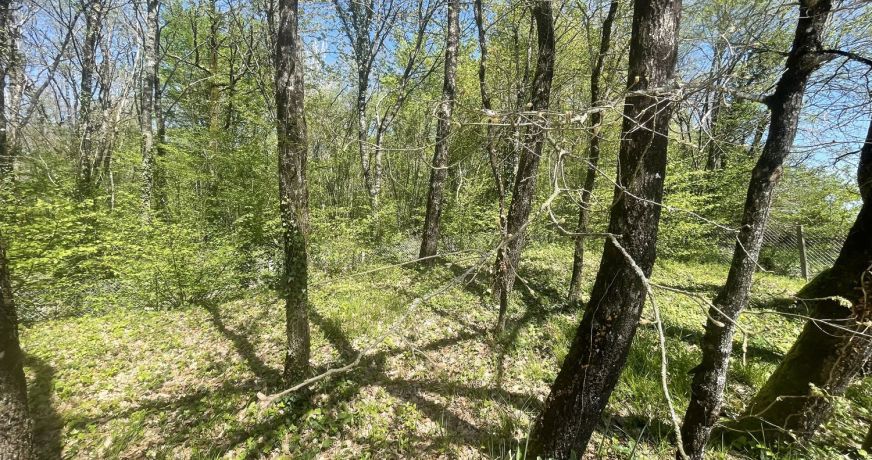 vente Villa Barbezieux Saint Hilaire