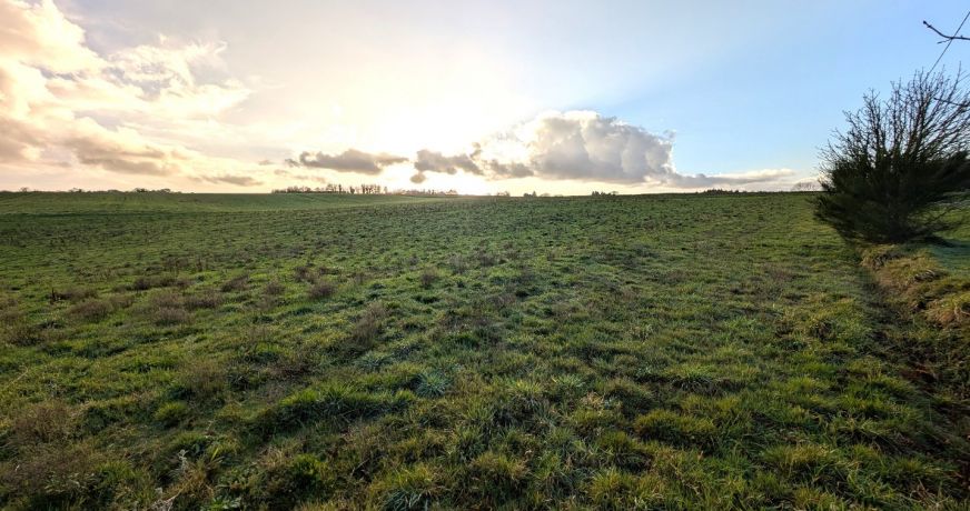 vente Propriété Languidic