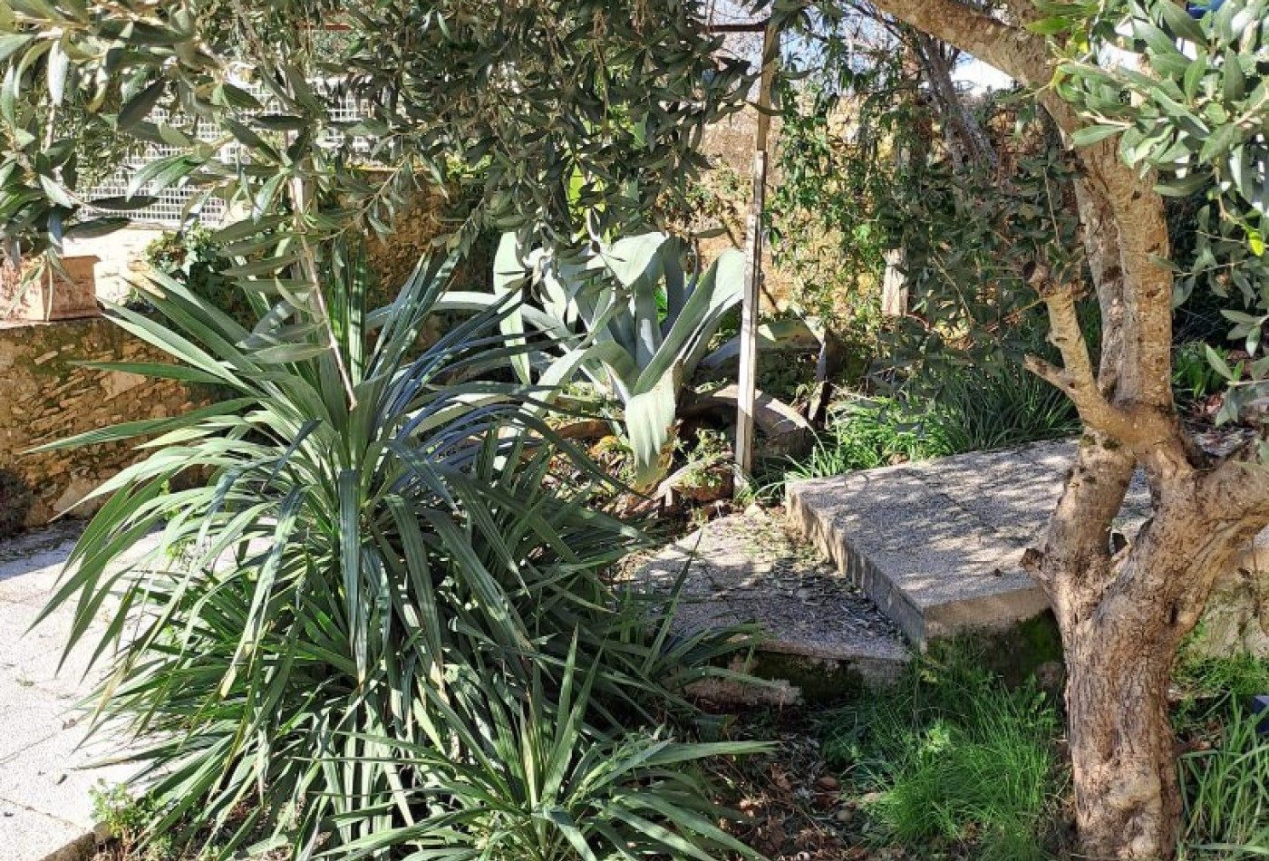 vente Maison de caractère Chancelade - Photo 6