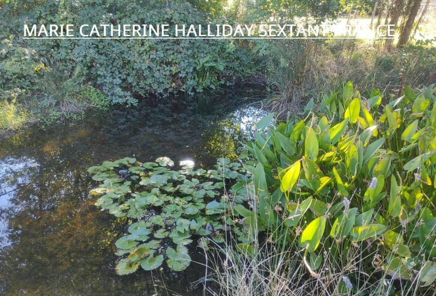 vente Corps de ferme Montrem - Photo 9