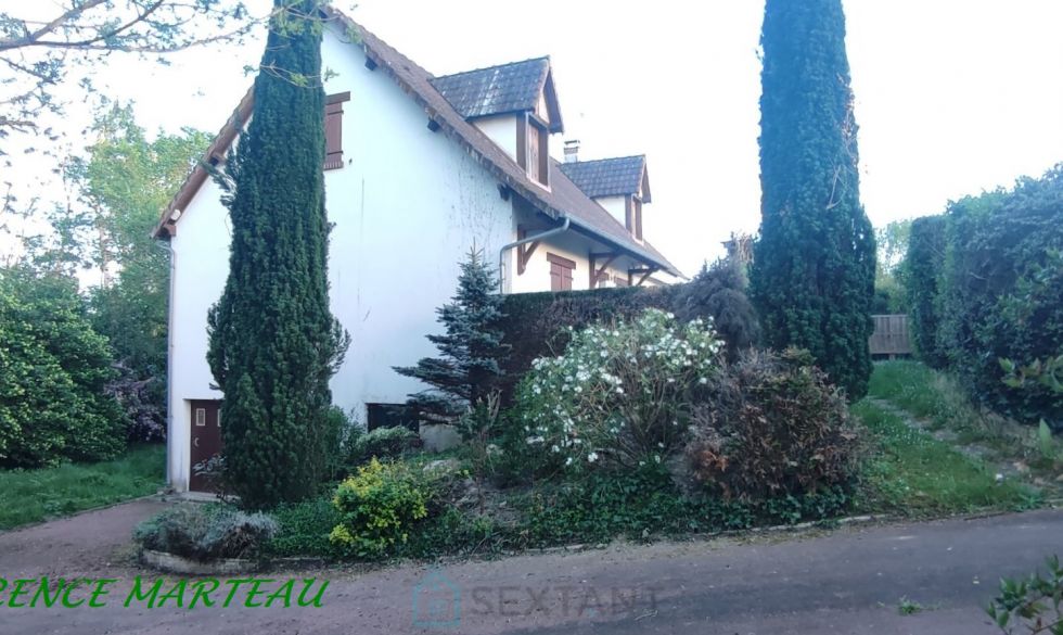 vente Saint Georges Sur Cher