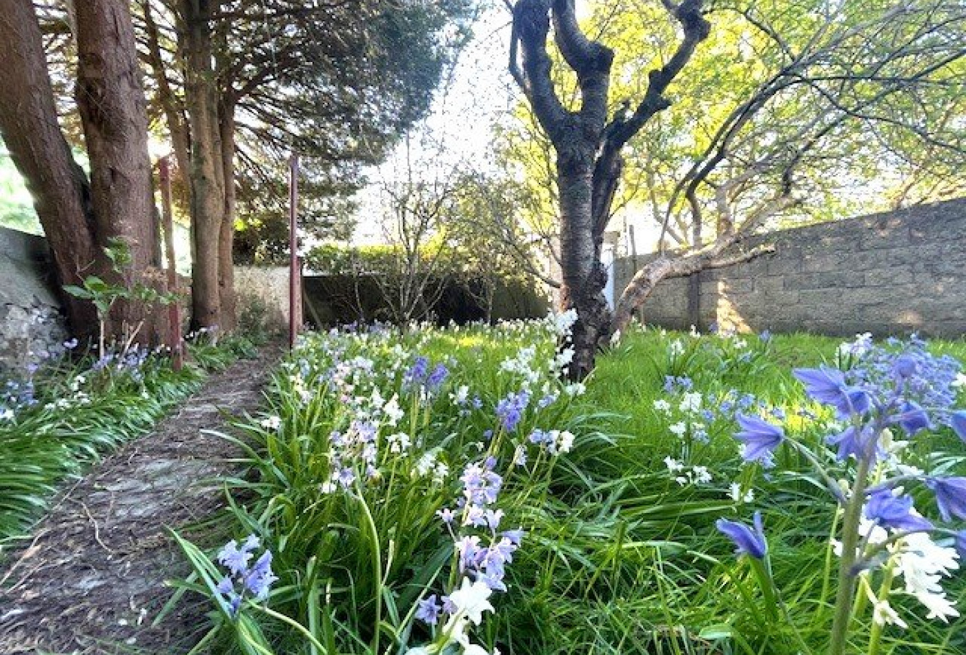 vente Maison Brest - Photo 8