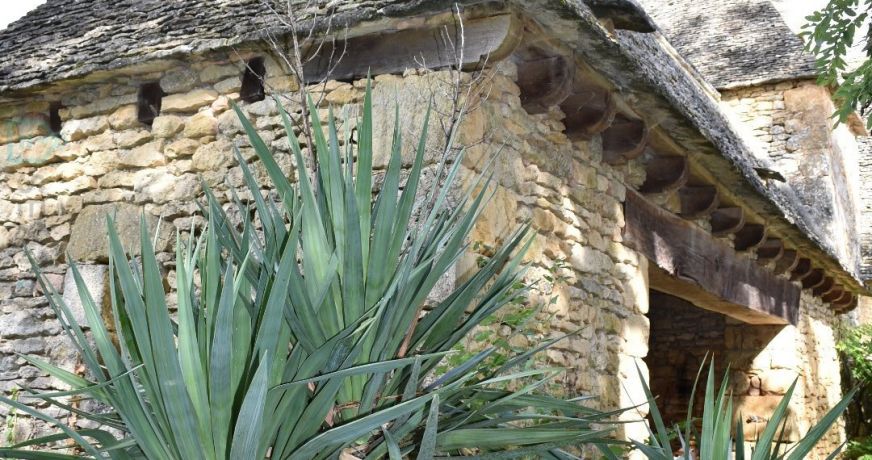 vente Propriété Montignac