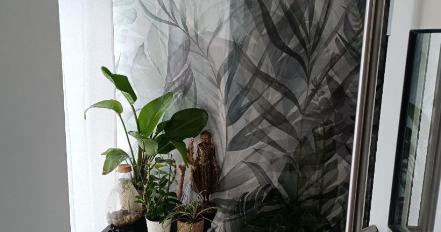 vente Corps de ferme Montrem