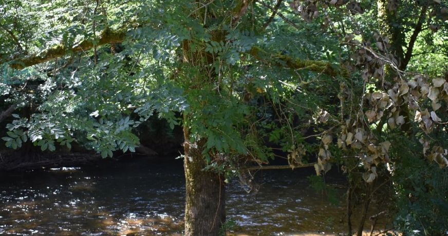 vente Demeure Perigueux