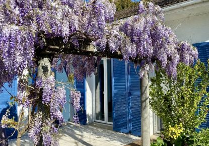 vente Maison individuelle Meudon