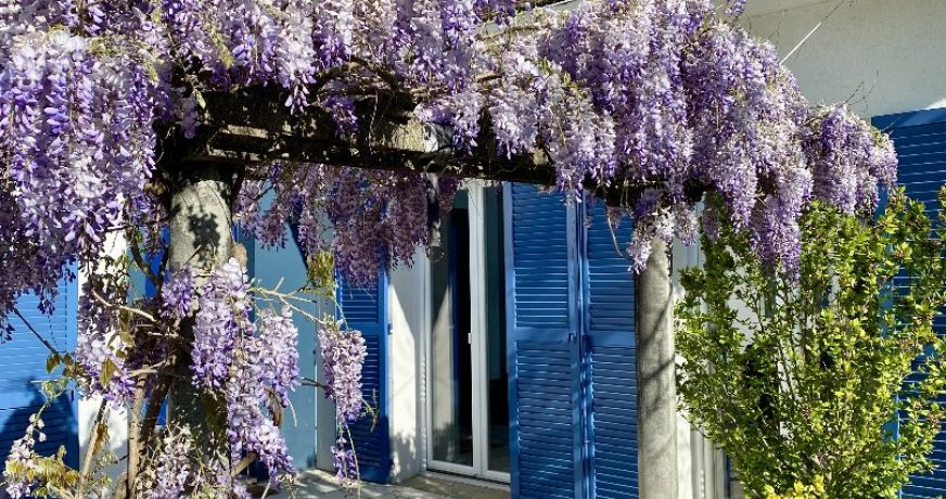 vente Maison individuelle Meudon