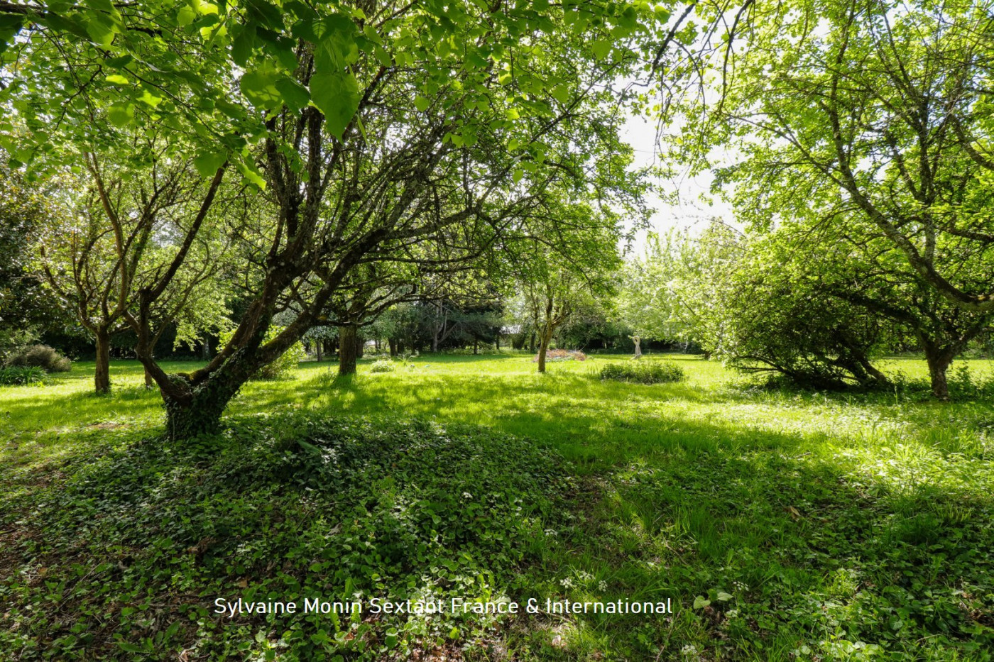 vente Maison de campagne Payzac - Photo 4