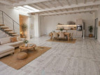 vente Maison en pierre Ribagnac