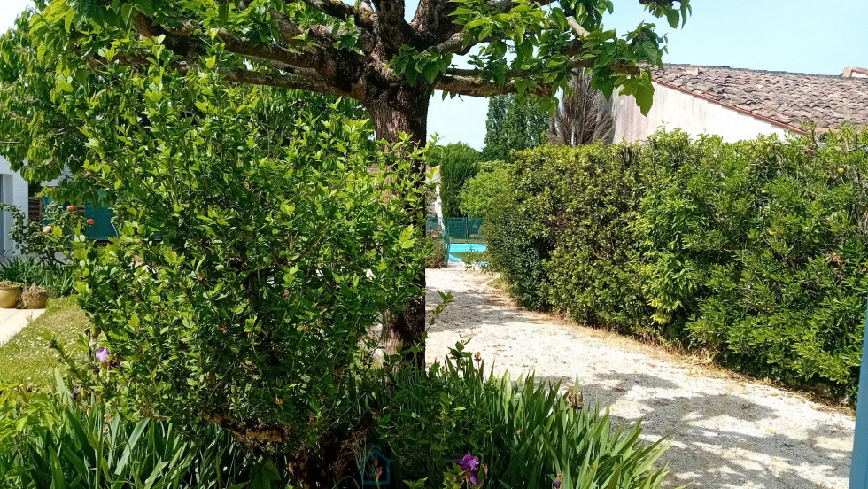 vente Maison bourgeoise Breuillet - Photo 4