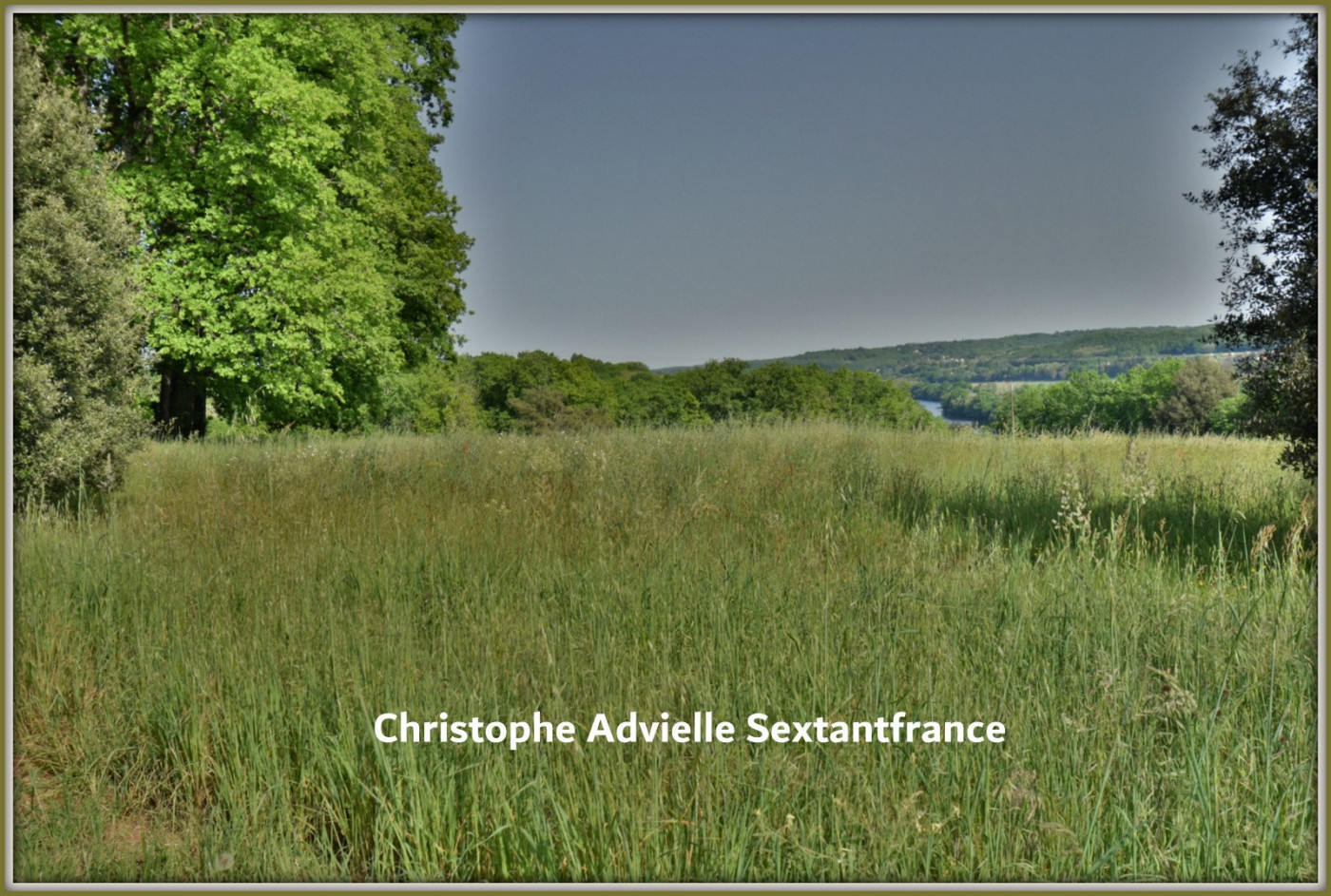 vente Domaine Saint Capraise De Lalinde - Photo 13