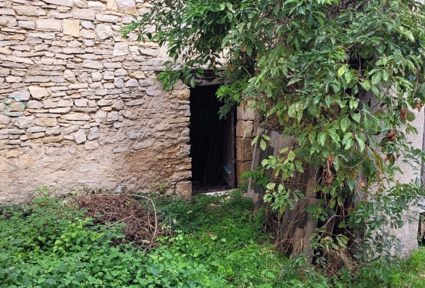 vente Maison Saumane - Photo 5