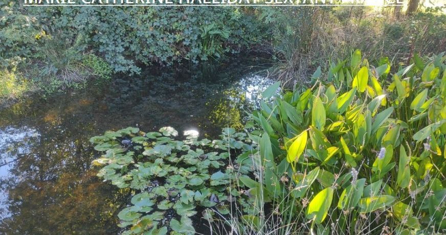 vente Corps de ferme Montrem