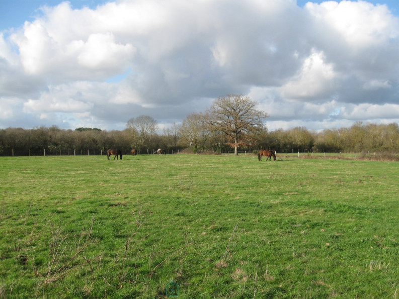 vente Maison de caractère Tours - Photo 3