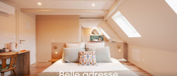 vente Demeure de ville et village Obernai