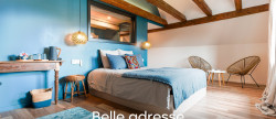vente Demeure de ville et village Obernai
