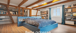vente Demeure de ville et village Obernai