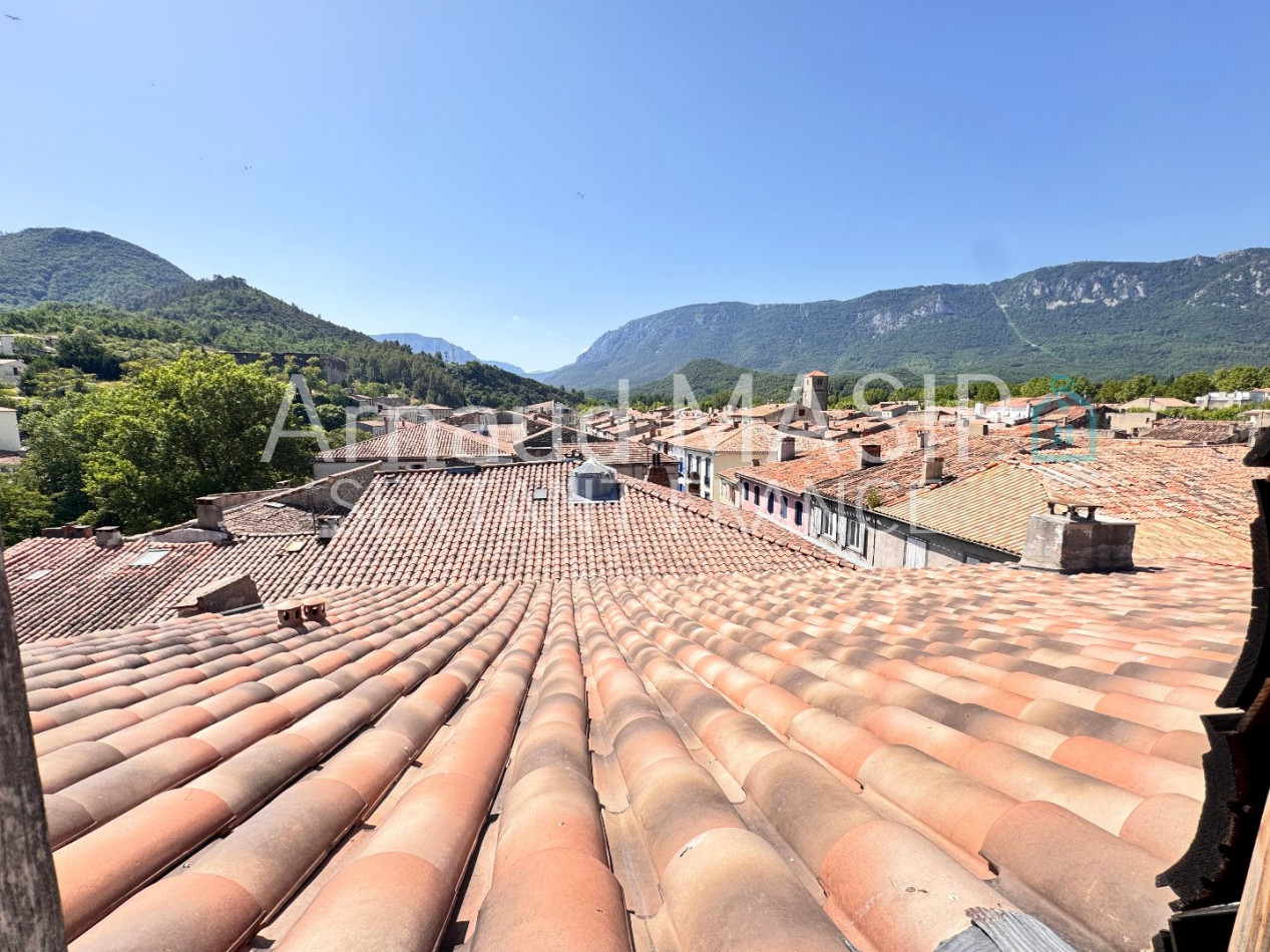 vente Maison bourgeoise Quillan - Photo 19