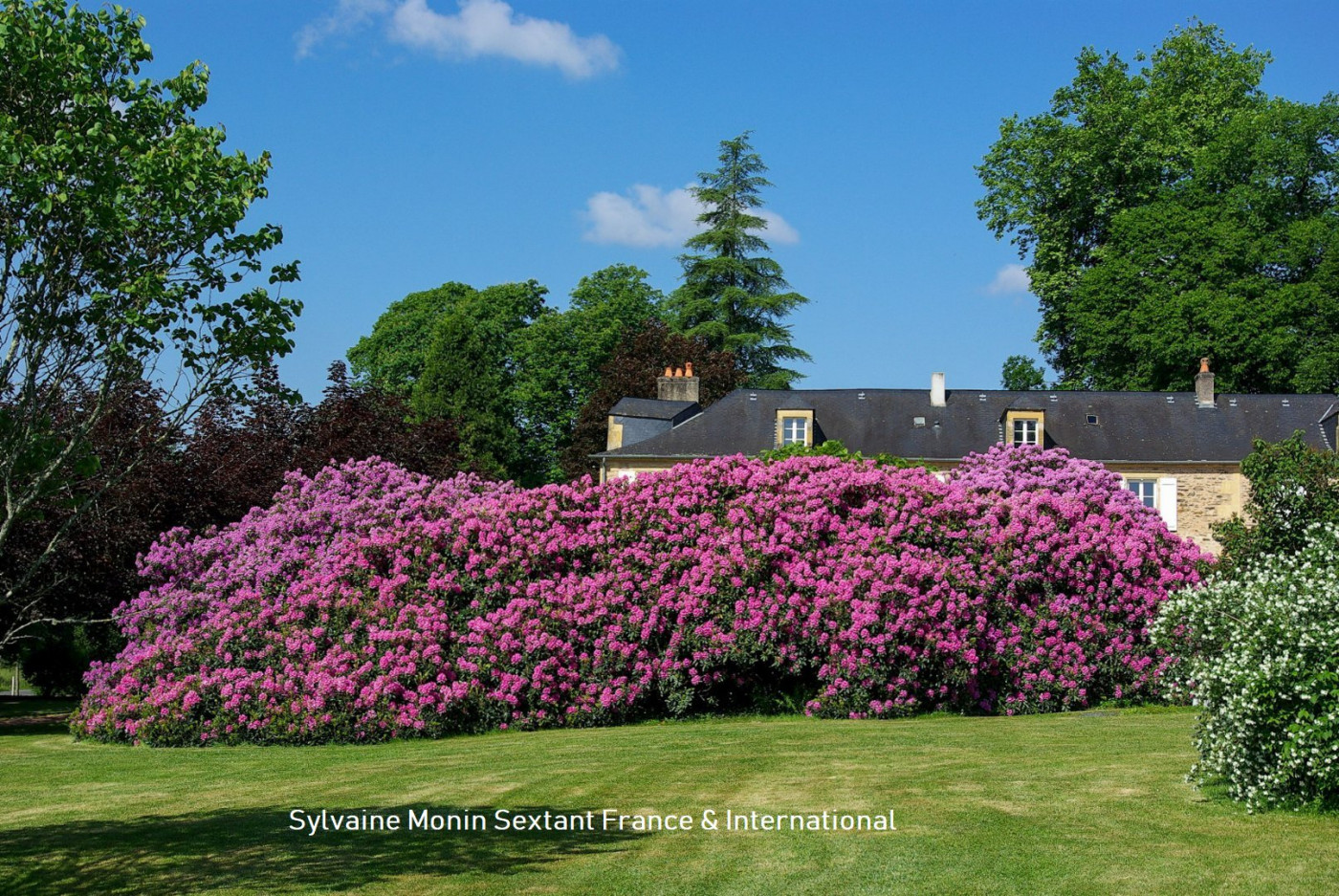 vente Domaine Lanouaille - Photo 5
