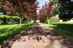 vente Domaine Lanouaille