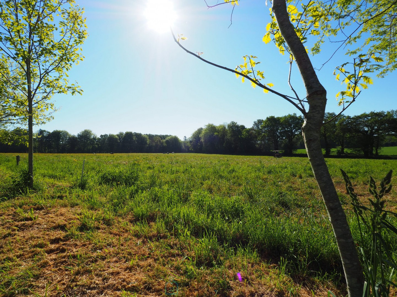 vente Maison Plouay - Photo 17