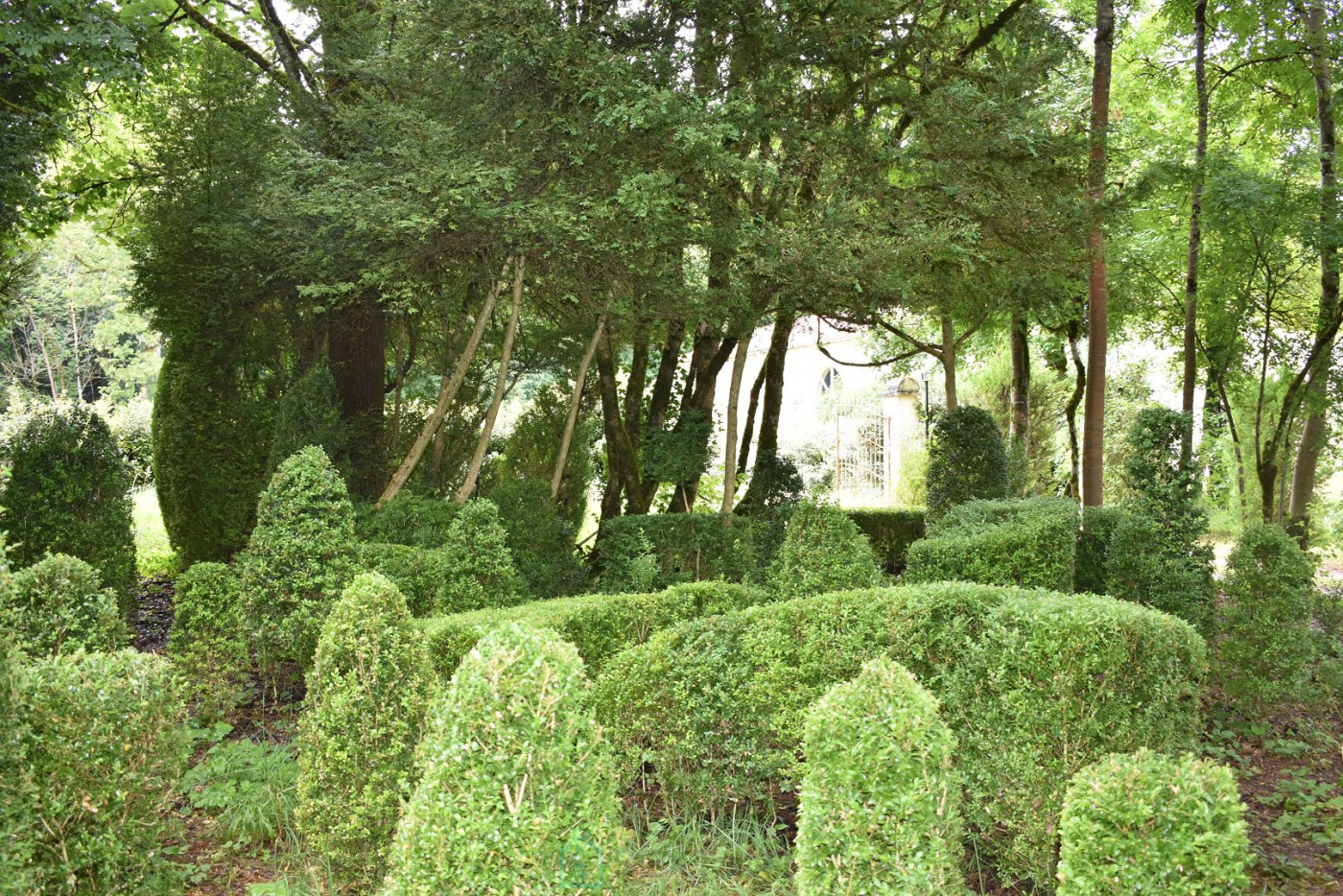 vente Château Sorges - Photo 13