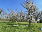 vente Domaine Faleyras