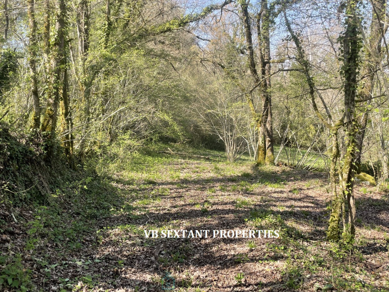 vente Domaine Faleyras - Photo 18
