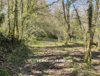vente Domaine Faleyras
