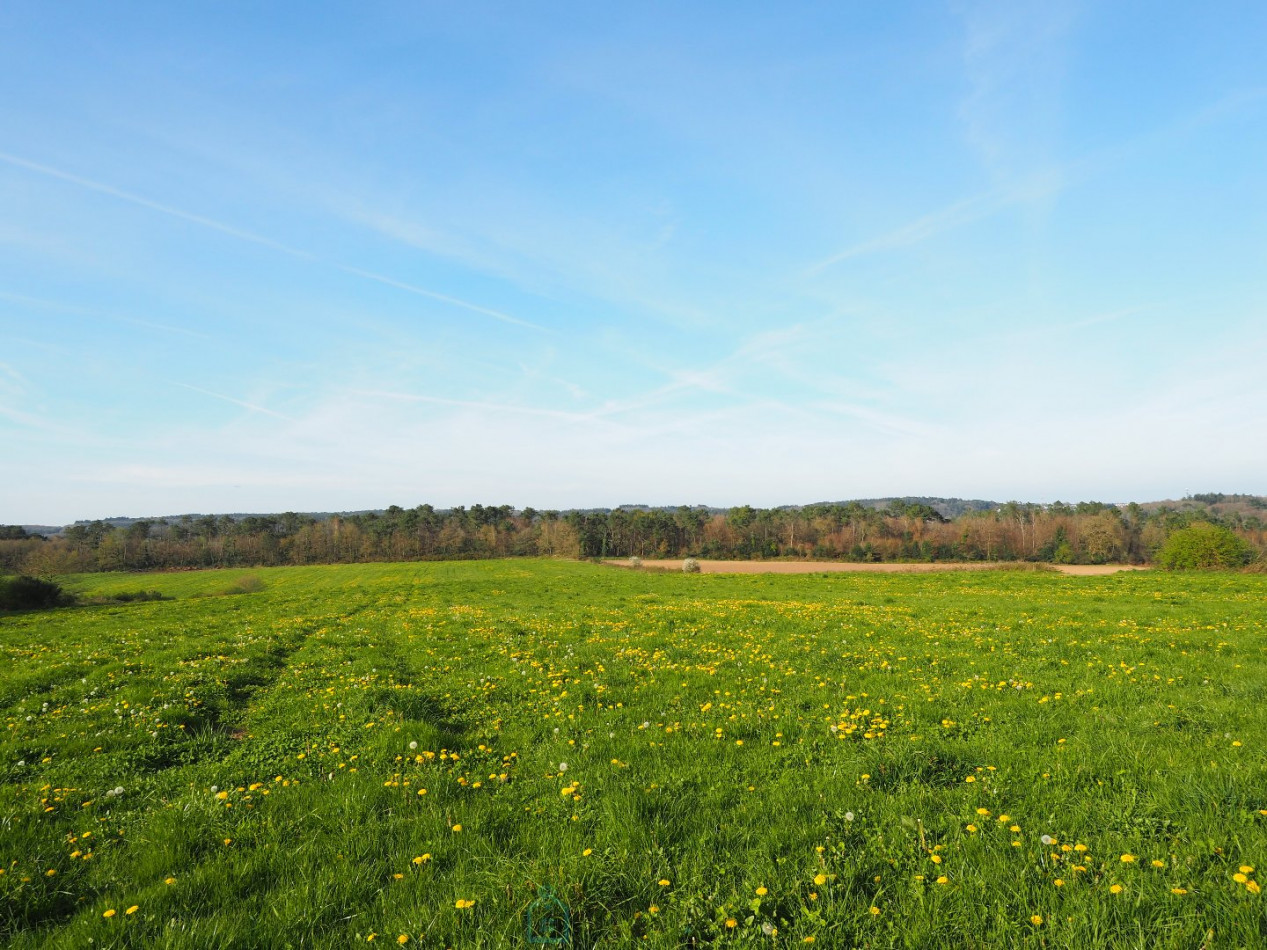vente Maison Baud - Photo 14