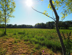 vente Maison Plouay