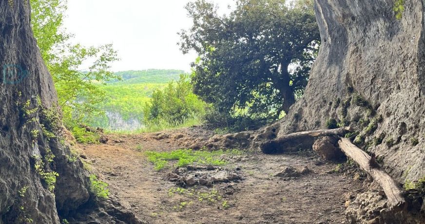 vente Demeure Saint Leon Sur Vezere