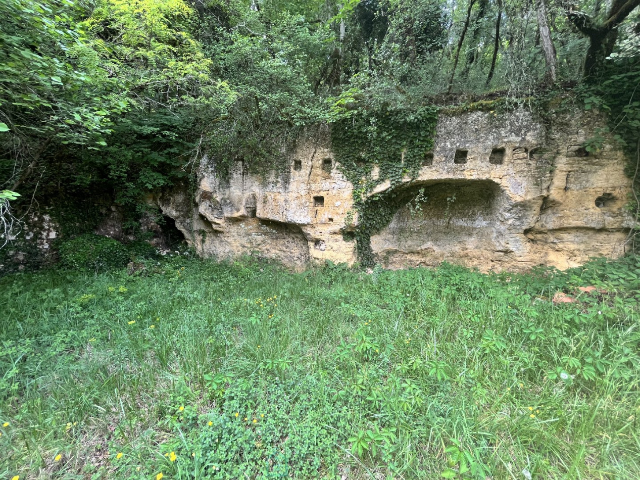 vente Demeure Saint Leon Sur Vezere - Photo 25