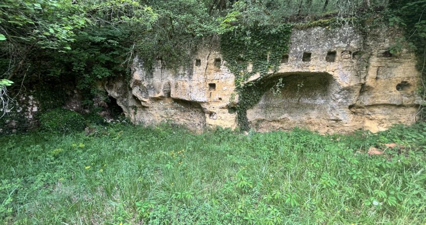 vente Demeure Saint Leon Sur Vezere