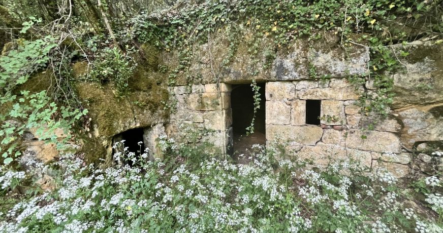 vente Demeure Saint Leon Sur Vezere