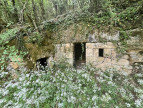 vente Demeure Saint Leon Sur Vezere