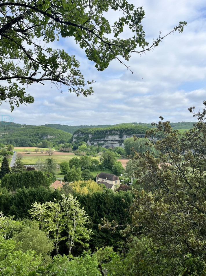 vente Demeure Saint Leon Sur Vezere - Photo 1