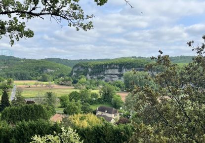 vente Demeure Saint Leon Sur Vezere