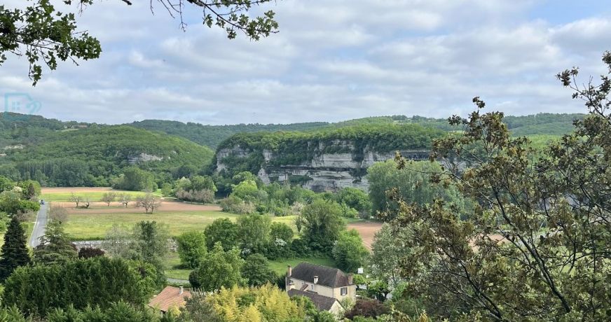vente Demeure Saint Leon Sur Vezere