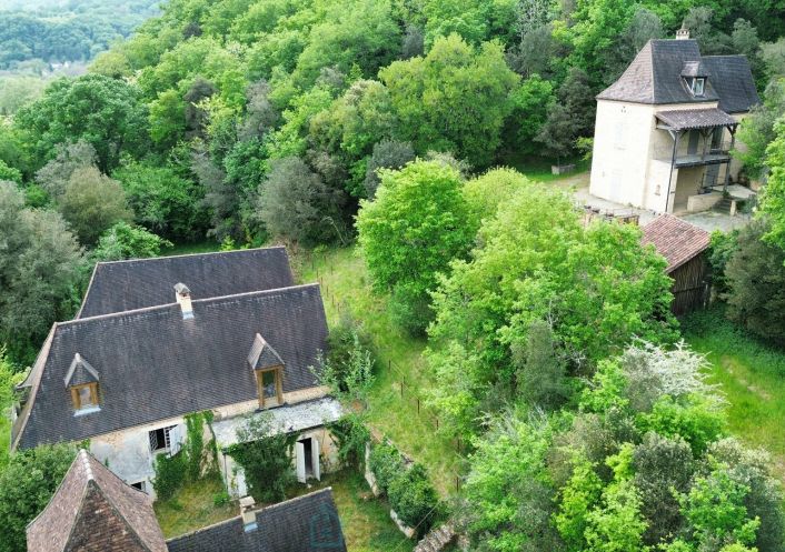 vente Demeure Saint Leon Sur Vezere