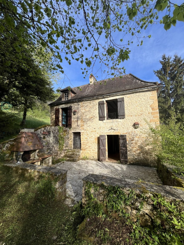 vente Maison Plazac - Photo 1