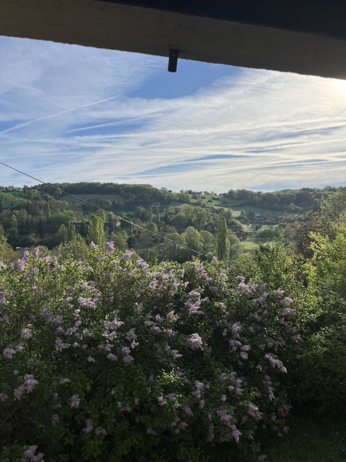 vente Maison Plazac - Photo 12