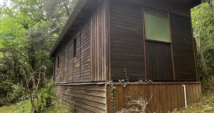 vente Propriété Saint Leon Sur Vezere