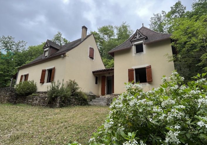 vente Propriété Saint Leon Sur Vezere