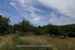 vente Maison bio climatique Saint Medard D'excideuil