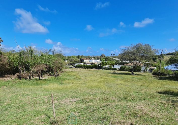 vente Terrain Le Gosier