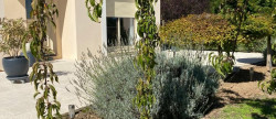 vente Maison Bonnieres Sur Seine