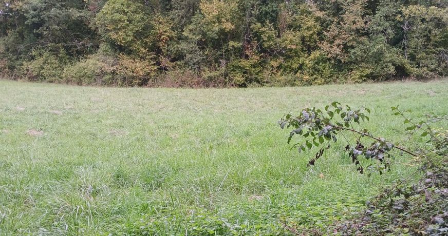 vente Terrain constructible Riberac